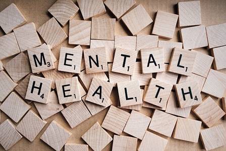 Exploring the Key Factors Influencing Mental Health
